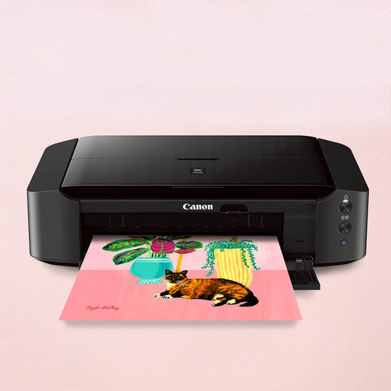 Canon IP8720 Wireless Printer