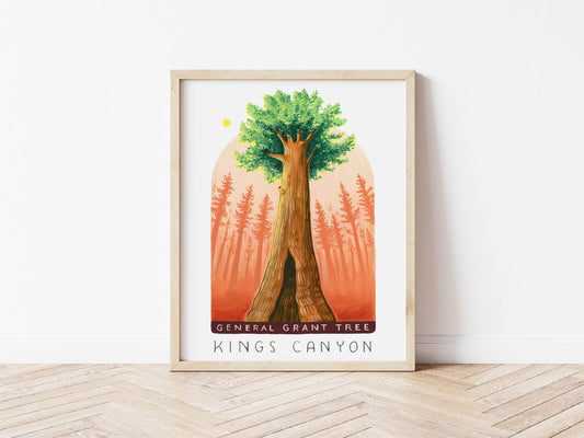 Kings Canyon National Art Park Art Print