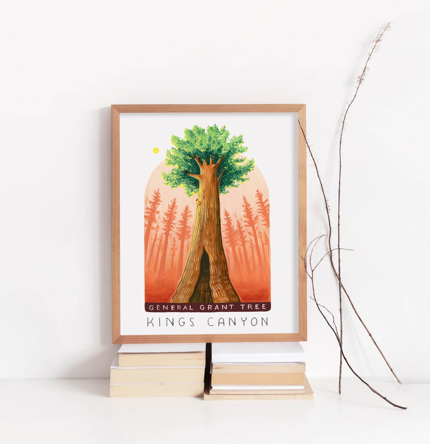 Kings Canyon National Art Park Art Print