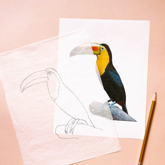 Canson Artist Series Tracing Paper