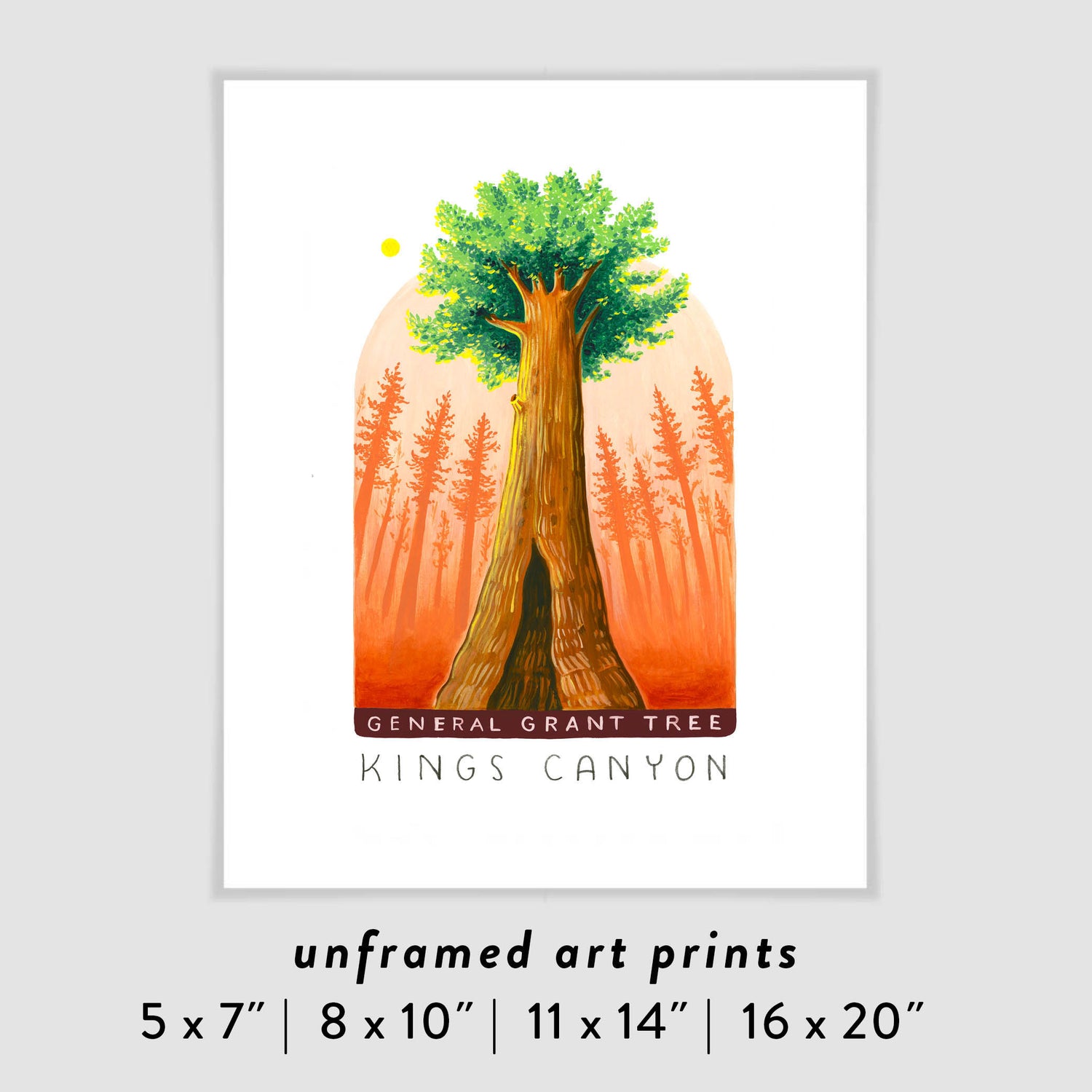 Kings Canyon National Art Park Art Poster