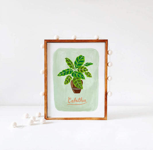Calathea Plant illustration in wood frame