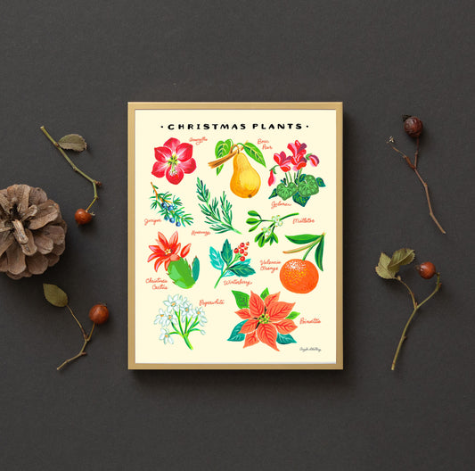 Christmas Plants Illustration with poinsettia, amaryllis, paper whites, and holly