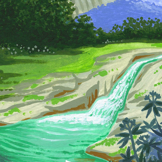 Pisgah National Forest art detail with Appalachian Mountains, waterfalls, and forests; trendy illustration by Angela Staehling
